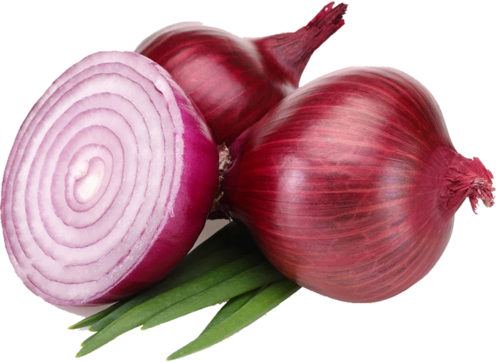 Fresh red onions harvested from the farm, one cut in half